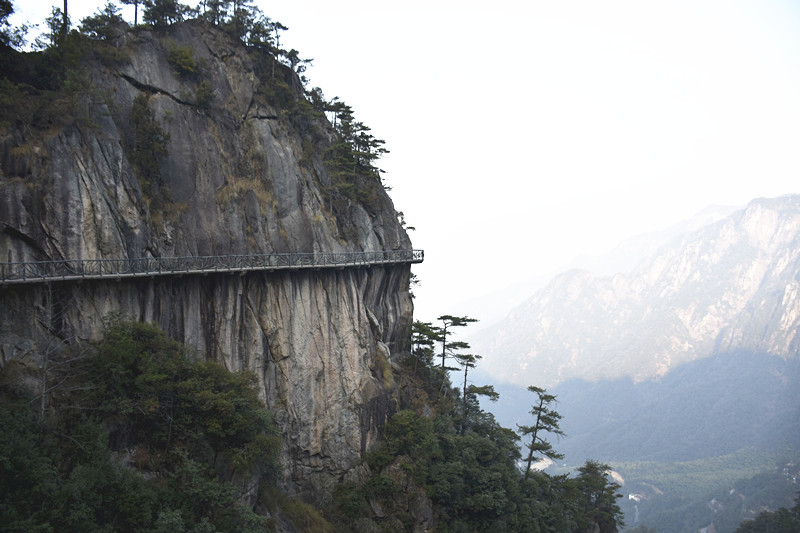 15767260765906.jpg 2.jpg