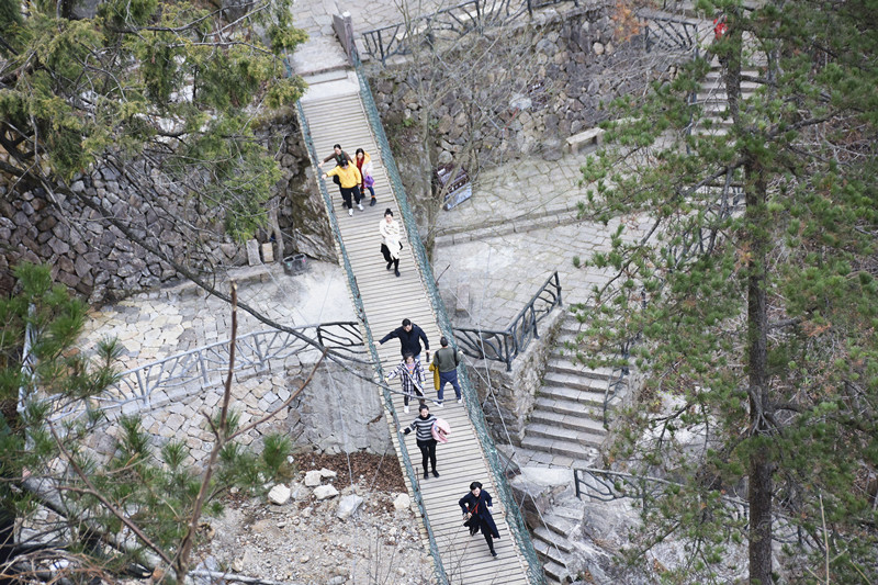 15767261014634.jpg 3.jpg