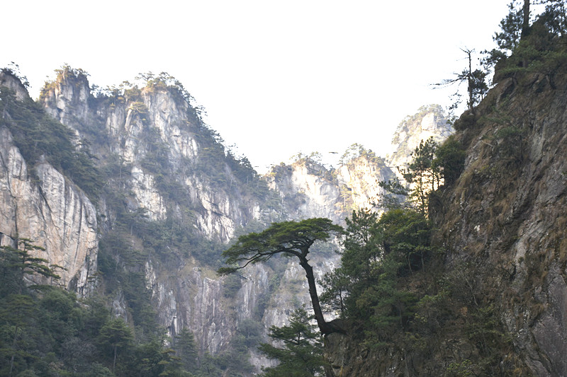 15767261274930.jpg 4.jpg