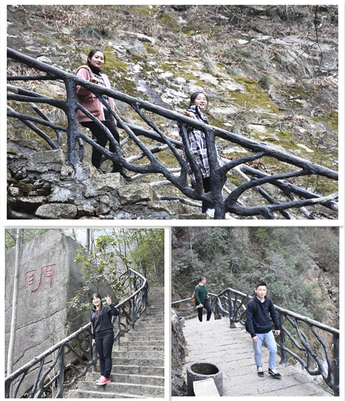 15767262348756.jpg 5.jpg