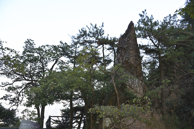 15767262534227.jpg 6.jpg