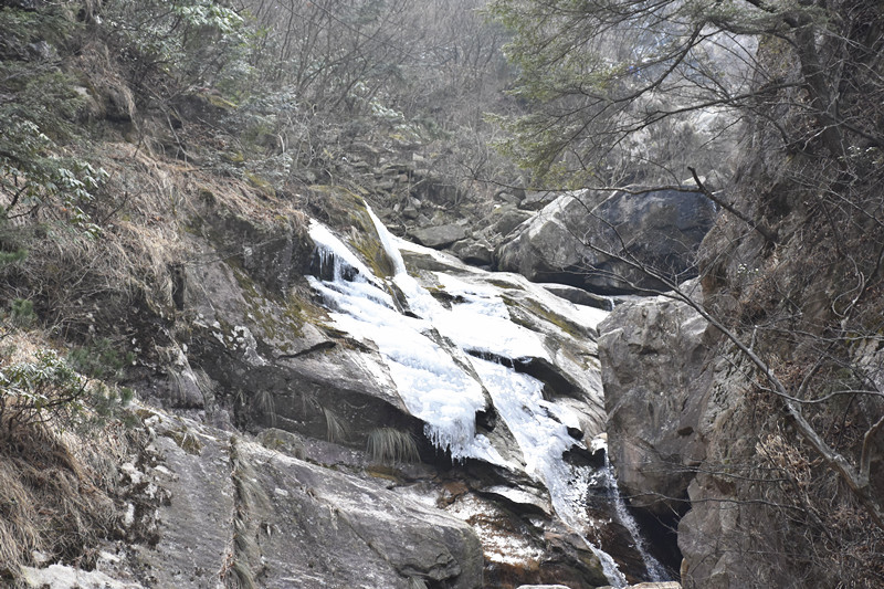 15767262972324.jpg 8.jpg