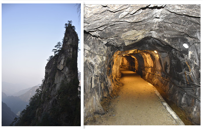 15767263263642.jpg 9.jpg