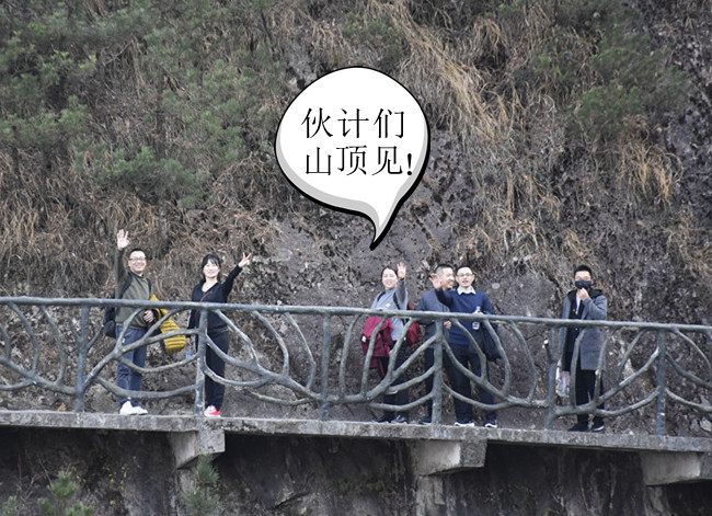 15767263767490.jpg 12.jpg