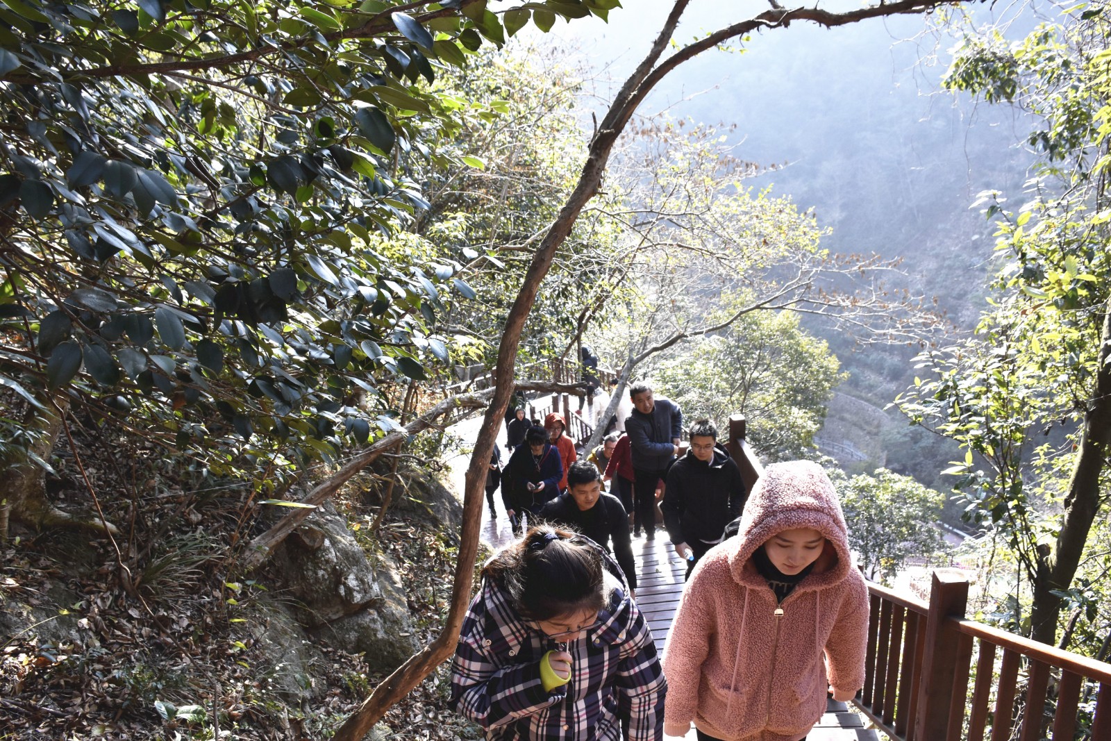 15767264643764.jpg 17.jpg