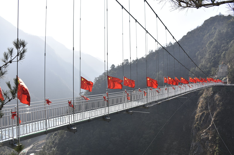 15767265188254.jpg 18.jpg