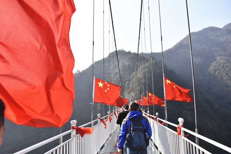 15767265374559.jpg 19.jpg